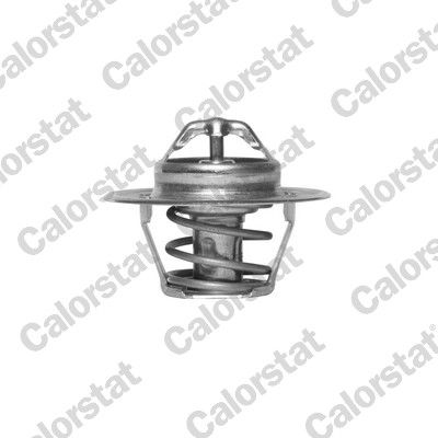 Termostat, płyn chłodzący CALORSTAT by Vernet TH5812.92J