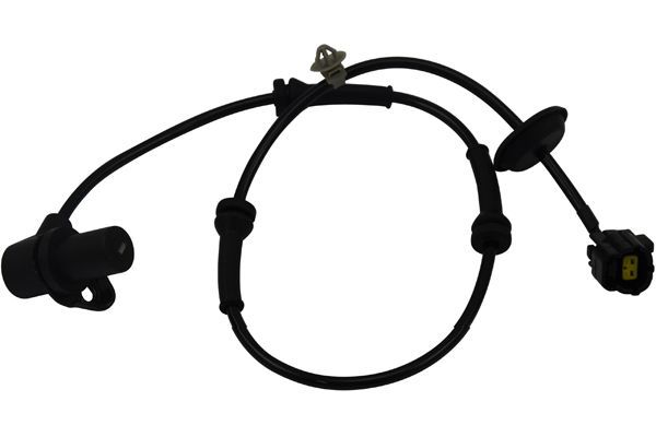 Czujnik, prędkość obrotowa koła KAVO PARTS BAS-1004