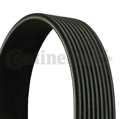 Pasek klinowy wielorowkowy CONTINENTAL CTAM 9pk2260