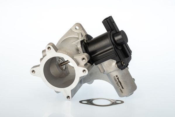Zawór AGR BorgWarner 710575D
