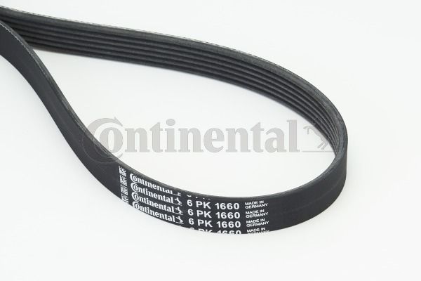 Pasek klinowy wielorowkowy CONTINENTAL CTAM 6PK1660