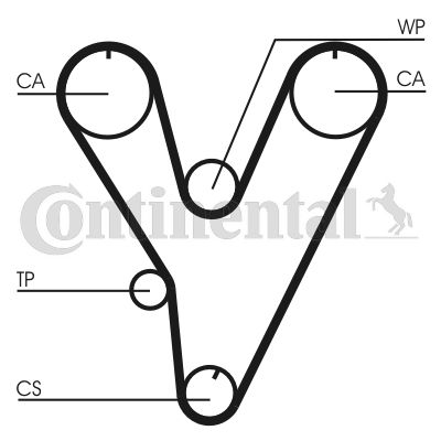 Pasek rozrządu CONTINENTAL CTAM CT805