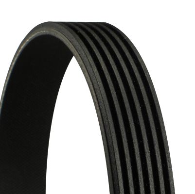 Pasek klinowy wielorowkowy CONTINENTAL CTAM 6PK1102EXTRA