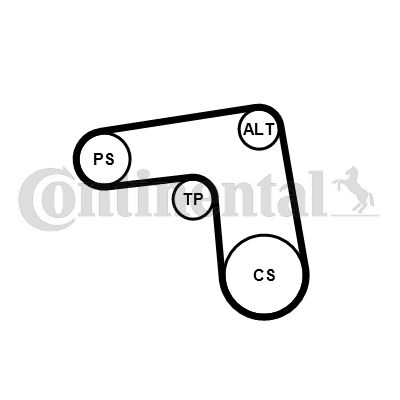 Zestaw paska klinowego wielorowkowego CONTINENTAL CTAM 7PK1076K1