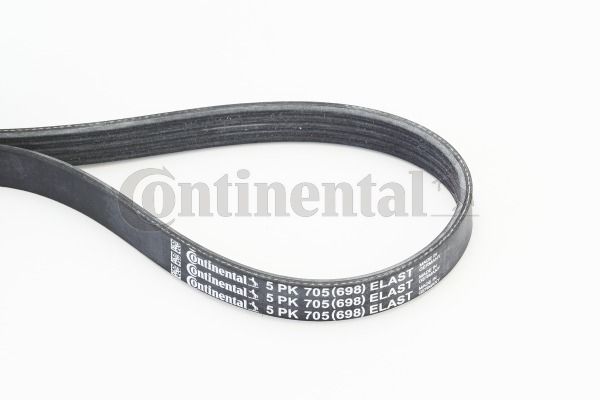 Pasek klinowy wielorowkowy CONTINENTAL CTAM 5PK705ELAST