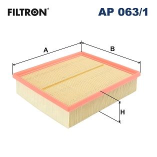 Filtr powietrza FILTRON ap 063/1