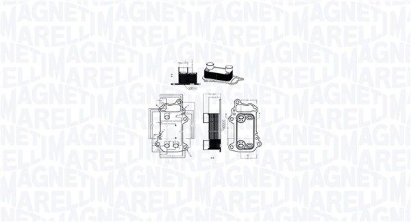Chłodnica oleju, olej silnikowy MAGNETI MARELLI 350300003900