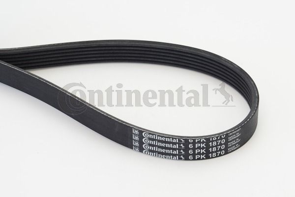 Pasek klinowy wielorowkowy CONTINENTAL CTAM 6PK1870