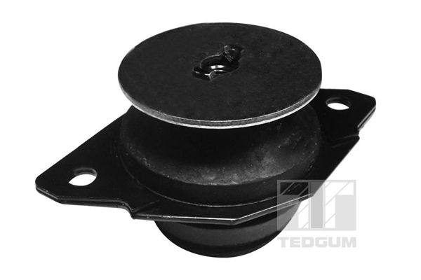 Mocowanie, wspornik mechanicznej skrzyni biegów TEDGUM 00725600