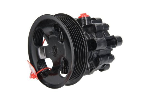 Pompa hydrauliczna, układ kierowniczy LAUBER 55.6095