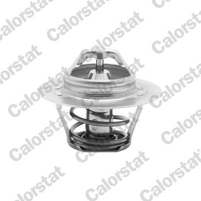 Termostat, płyn chłodzący CALORSTAT by Vernet th5955.88j