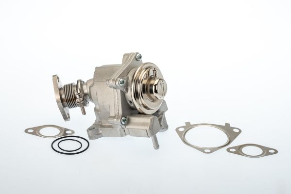 Zawór AGR BorgWarner 7631D