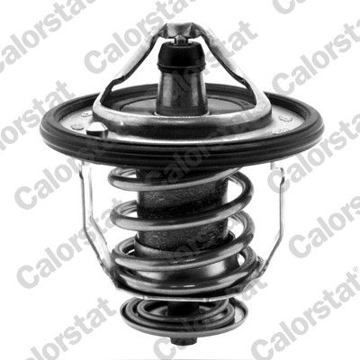 Termostat, płyn chłodzący CALORSTAT by Vernet th5434.76j