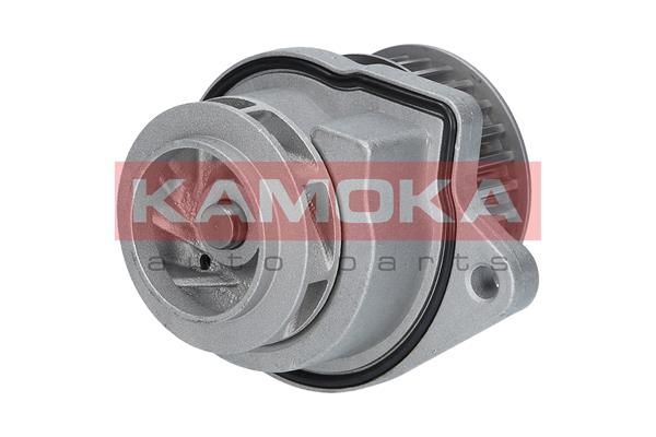 Pompa wody, chłodzenie silnika KAMOKA T0248