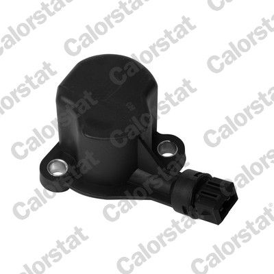 Przełącznik, światło cofania CALORSTAT by Vernet RS5558