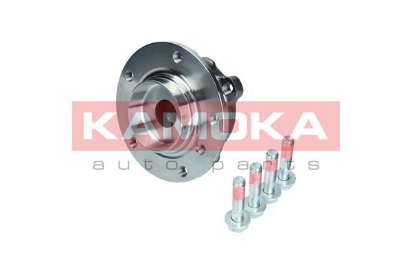 Zestaw łożysk koła KAMOKA 5500132