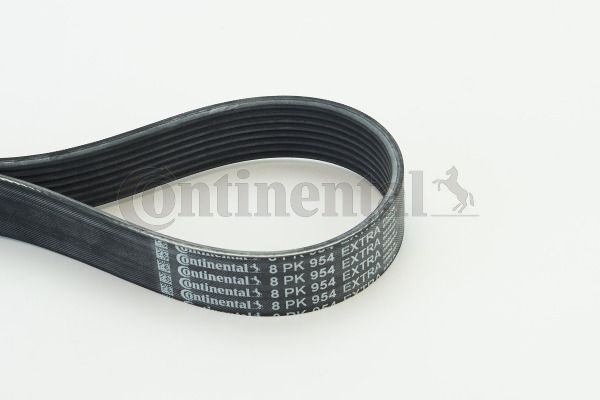Pasek klinowy wielorowkowy CONTINENTAL CTAM 8PK954 EXTRA
