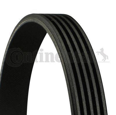 Pasek klinowy wielorowkowy CONTINENTAL CTAM 5PK595ELAST