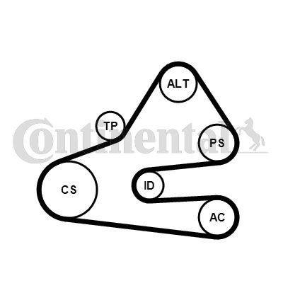 Zestaw paska klinowego wielorowkowego CONTINENTAL CTAM 6PK1613K1