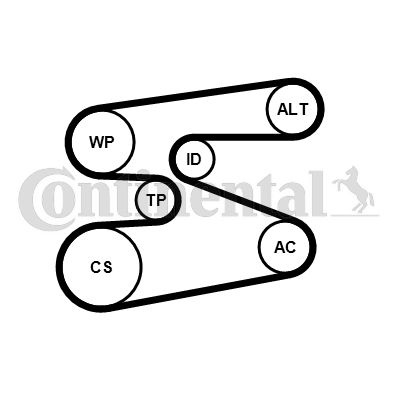 Zestaw paska klinowego wielorowkowego CONTINENTAL CTAM 6PK1698K1