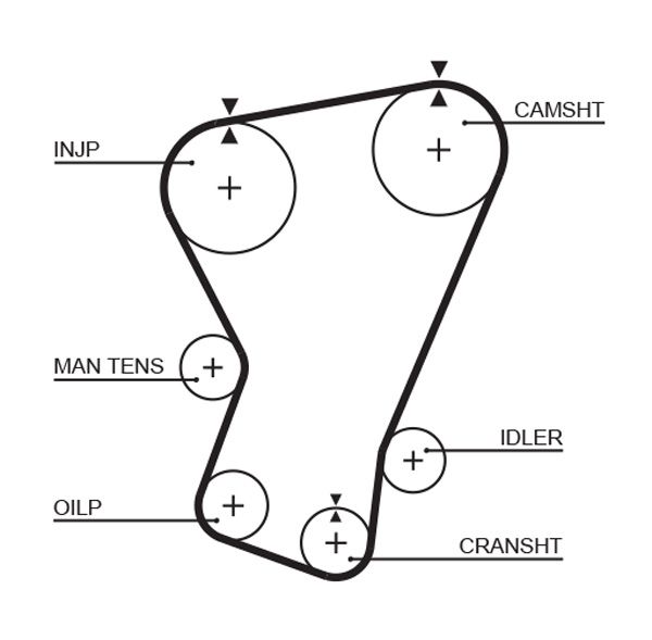 Pasek rozrządu GATES 5065