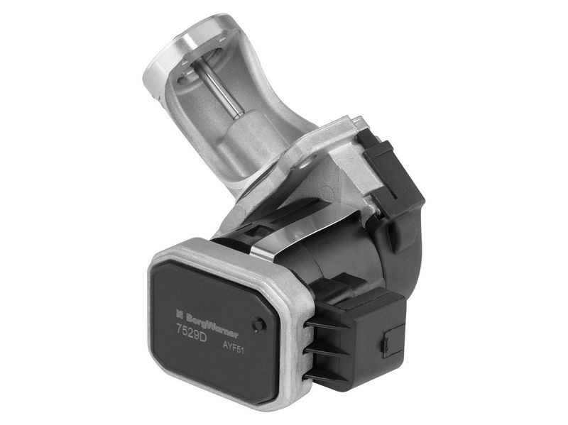Zawór AGR BorgWarner 7529D