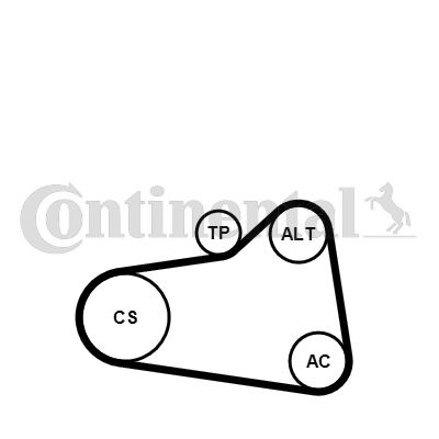 Zestaw paska klinowego wielorowkowego CONTINENTAL CTAM 6PK905EXTRAK1
