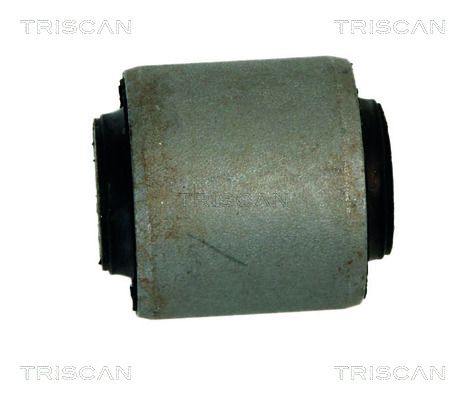 Łożyskowanie, wahacz TRISCAN 850050810