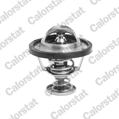 Termostat, płyn chłodzący CALORSTAT by Vernet th6295.85j