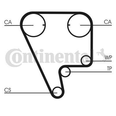 Pasek rozrządu CONTINENTAL CTAM ct804