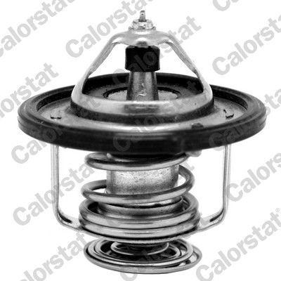 Termostat, płyn chłodzący CALORSTAT by Vernet th7185.80j